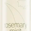 Aveda Rosemary Mint Purifying Shampoo