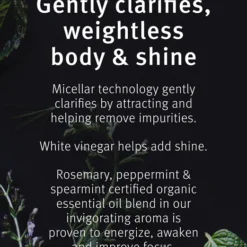 Aveda Rosemary Mint Purifying Shampoo 11 Aveda Rosemary Mint Purifying Shampoo -Kérastase Soldes aveda rosemary mint purifying shampoo shampoing nettoyant en profondeur brillance 4