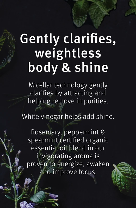 Aveda Rosemary Mint Weightless Conditioner 5 Aveda Rosemary Mint Weightless Conditioner – Image 5