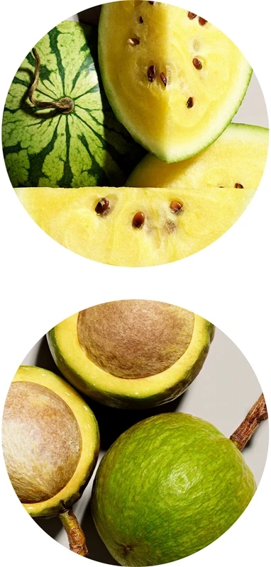 Aveda Smooth Infusion™ Anti-Frizz Shampoo 7 Aveda Smooth Infusion™ Anti-Frizz Shampoo – Image 7