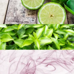 Calvin Klein CK One 6 Calvin Klein CK One -Kérastase Soldes calvin klein ck one eau de toilette mixte 1