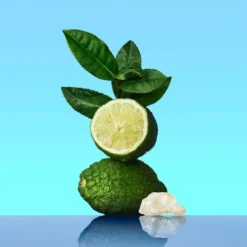 Calvin Klein CK One 7 Calvin Klein CK One -Kérastase Soldes calvin klein ck one eau de toilette mixte 2