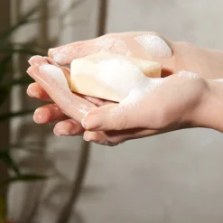 Christophe Robin Hydrating Shampoo Bar With Aloe Vera 5 Christophe Robin Hydrating Shampoo Bar With Aloe Vera -Kérastase Soldes christophe robin hydrating shampoo bar with aloe vera barre de shampoing pour cheveux secs et sensibilises 2