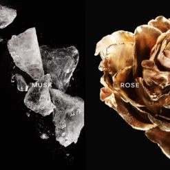 GUERLAIN Les Absolus D'Orient Musc Noble 6 GUERLAIN Les Absolus D'Orient Musc Noble -Kérastase Soldes guerlain les absolus dorient musc noble eau de parfum mixte 2