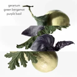 Hermès HERMÈS Colognes Collection Eau De Basilic Pourpre 6 Hermès HERMÈS Colognes Collection Eau De Basilic Pourpre -Kérastase Soldes hermes colognes collection eau de basilic pourpre eau de cologne mixte 2