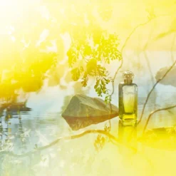 Hermès HERMÈS Le Jardin De Monsieur Li 7 Hermès HERMÈS Le Jardin De Monsieur Li -Kérastase Soldes hermes le jardin de monsieur li eau de toilette mixte 1