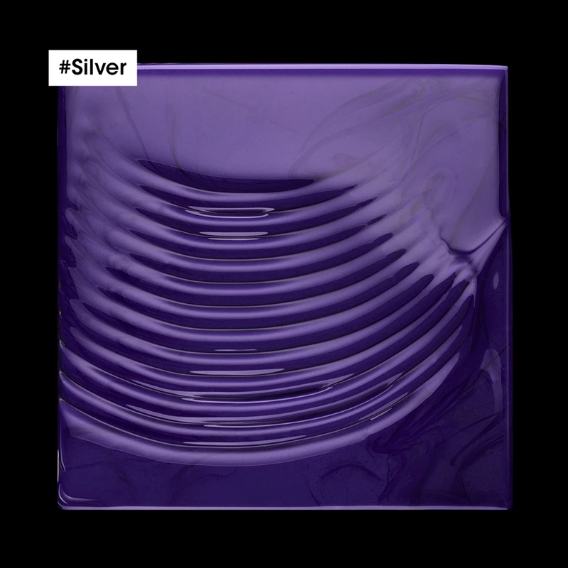 L’Oréal Professionnel Serie Expert Silver 2 L’Oréal Professionnel Serie Expert Silver – Image 2